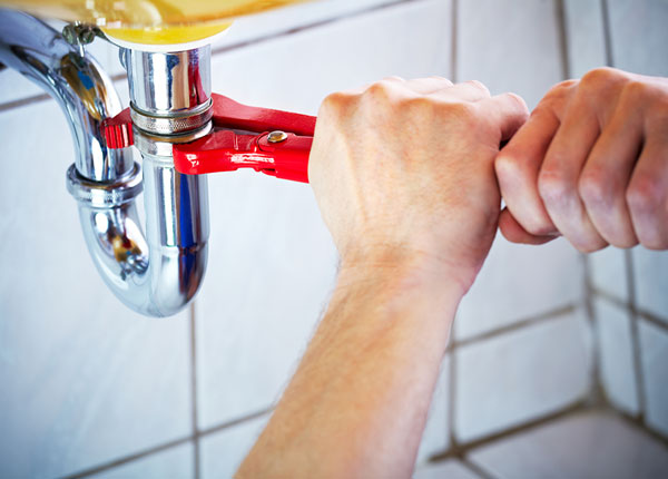 About Mount Lemmon Plumbers